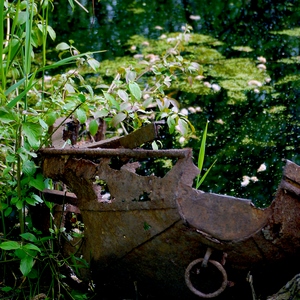Vieille barque en métal plongeant dans une mare au milieu de la végétation - Belgique  - collection de photos clin d'oeil, catégorie clindoeil